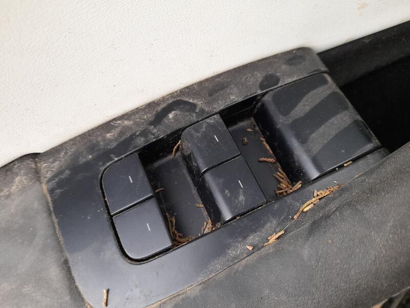 Mando Elevalunas Delantero Izquierdo para Tesla Model 3 (5Yj3)