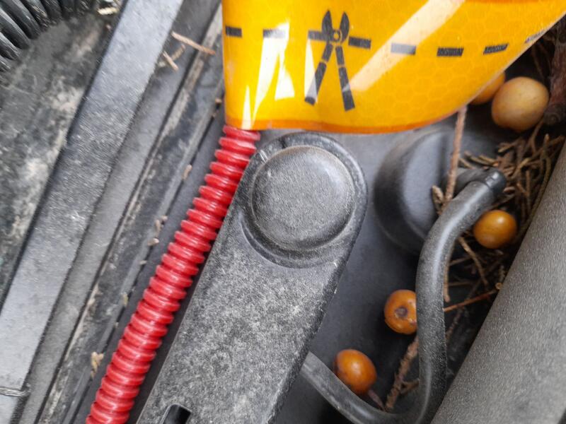 Motor Limpia Delantero para Tesla Model 3 (5Yj3)