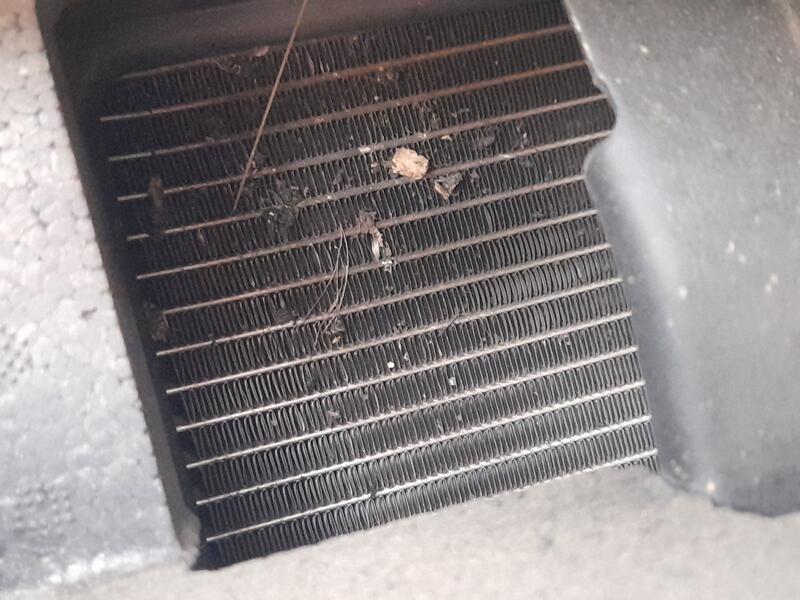 Condensador / Radiador Aire Acondicionado para Renault Clio V (B7_)