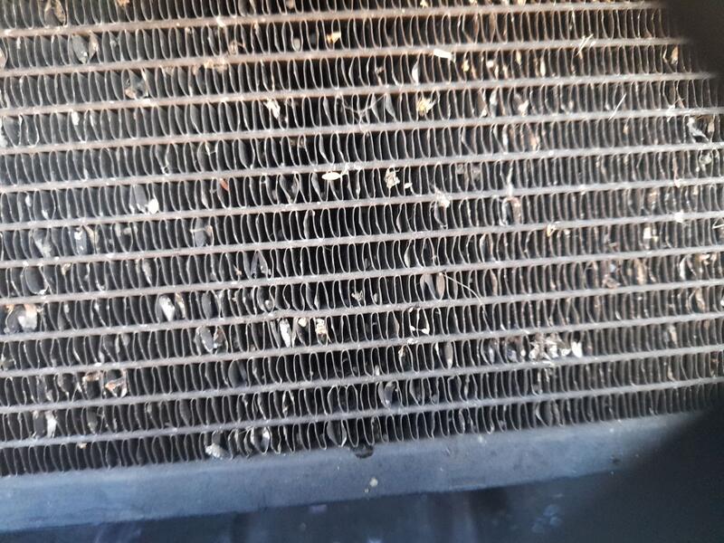 Condensador / Radiador Aire Acondicionado para Toyota Corolla Verso (Zer_, Zze12_, R1_)