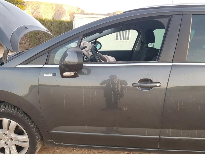 Puerta Delantera Izquierda para Peugeot 5008 (0U_, 0E_)