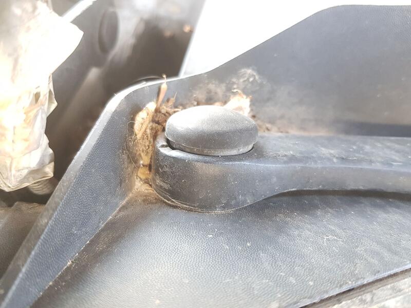 Motor Limpia Delantero para Seat Exeo (3R2)