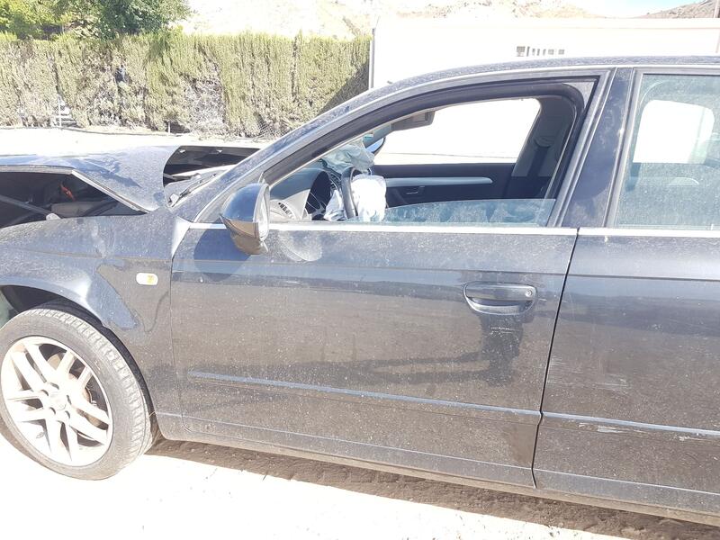 Puerta Delantera Izquierda para Seat Exeo (3R2)