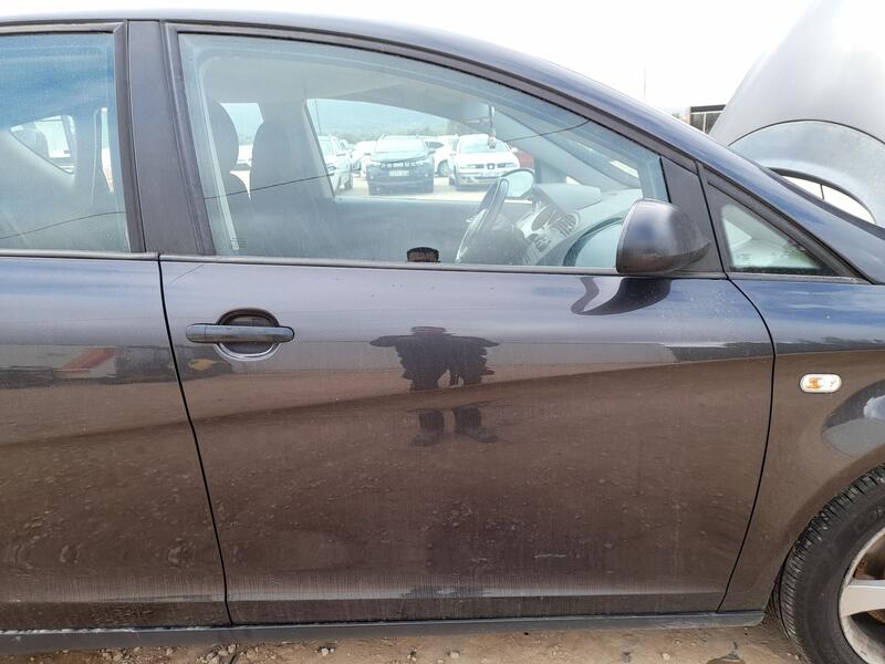 Puerta Delantera Derecha para Seat Toledo Iii (5P2)