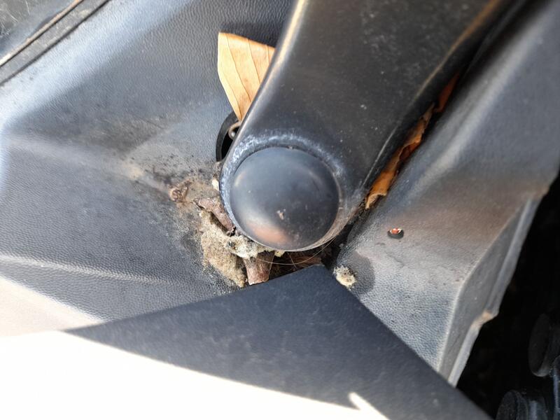 Motor Limpia Delantero Izquierdo para Seat Altea (5P1)